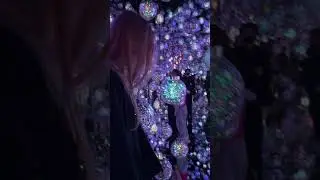Immersive art Tokyo #experiencetokyo #artimmersion #mandyinmotion #japantravels #teamlabborderless