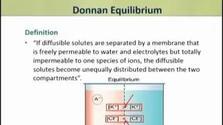 Donnan membrane equilibrium malayalam / easy definition and explanation / malayalam