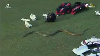 🐍Snake in live match 😱😱#cricket #snake #viralvideo