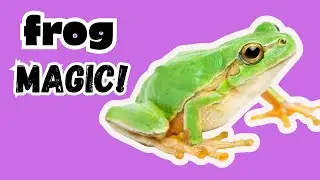 Ribbiting Fun Facts about Frogs for Kids!