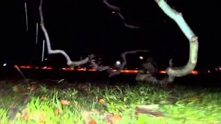 BO Mini Spider Hex - Night Test