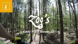 Zog's | Cady Hill | Stowe, VT