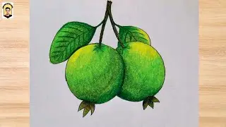 Drawing guava easy step-by-step |   Easy guava drawing