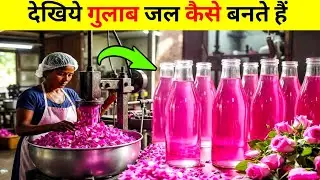 गुलाब जल कैसे बनता है ? फैक्ट्री के अंदर का सच | Rose Water Factory Process |