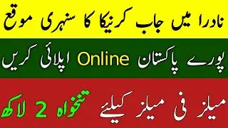 NADRA Jobs 2025 Online Apply &bull; Supervisor Assistant Deputy Director Online Apply  Careersnadragovpk