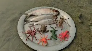 Search And Find Toys,real fish and toy sharks, crab, sea fish, lobster, turtle, dolphin - Part78