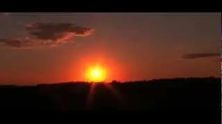 Michael Medall - Free (Prod. By Decap) (Official Video)