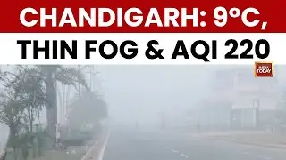 Chandigarh Shivers At 9&deg;C: India Today Reports 'Little Respite' From Fog As AQI Hits 220