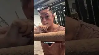 Новости о наших двух телятах, которых атаковали мухи! #детенышиживотных #корова