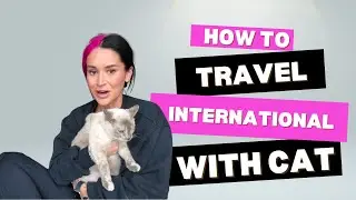 Flying With Cats: What’s in My Carry-On for a 10-Hour Flight to Portugal