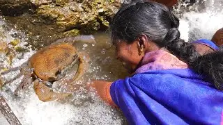 Country Crab Catching In Village | Village Super Cooking