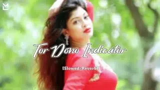 Tor Dono Indicator Lofi | Lalu Rangila | Khortha Slowed+Reverb Remix | @sonazlofi⚡