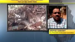 COMPLAINT FILED AGAINST GUIRIM SARPANCH AND WARD MEMBER FOR CUTTING TREES