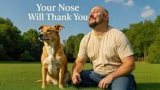 Goodbye Pet Odor! My Backyard Smells Fresh Again
