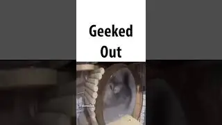 geeked vs locked in