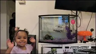 Putting a fish tank together for kids #fishtankideas  #fishtanksetup #fish #fishtank #fishforlife