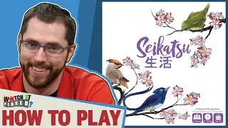 Сэйкацу &mdash; как играть