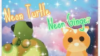 Making NEON Turtle and Ginger Cat in Adopt Me 💚🧡