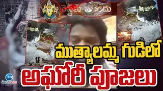 LadyAghori Special Pooja In Muthyalamma Temple |ముత్యాలమ్మ గుడిలో అఘోరా పూజలు |ZEE Telugu News