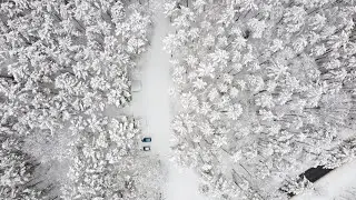 4k drone footage | Snowy Winter Forest | Poland | Pomerania | Zlocieniec