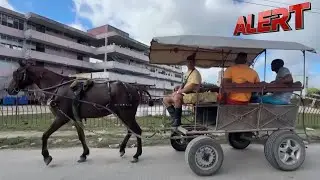 Cubans Brace for Hardship as US Pressure Fuels Blackouts and Rising Prices | ALERT News
