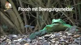 Frosch mit Bewegungsmelder - by MrCache.de
