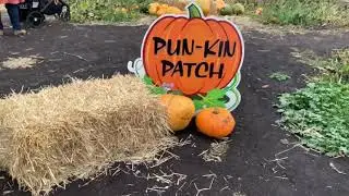 Lacombe Corn Maze | Alberta Canada