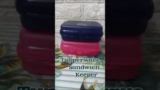 Tupperware Sandwich🥪 Keeper #tupperware #lunch #tupperwareproducts #bentobox #tiffin #school #snacks