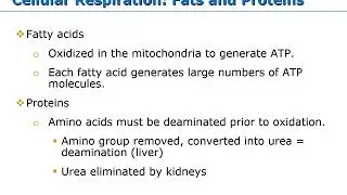 Metabolism, Nutrition and Body Temperature