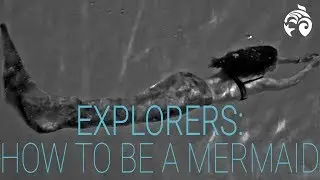 How to be a Mermaid: Quick Tips for Beginners | Explorers | Ocean Wise
