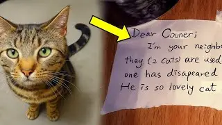 Owner Is Shocked When His Cat Returns Home With a Chilling Note From a Stranger!