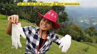 TAIWAN TRIP part 1 #Farm #sheep #TravelBeforeCovid #CoupleGoals #NantouCounty | #chinfilvlogs