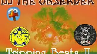DJ The Observer - Tripping Beats II - Remix