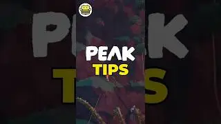 PEAK Survival Tips