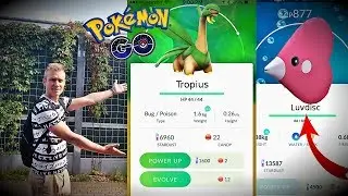 NOWE POKEMONY REGIONALNE?