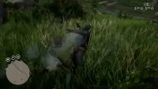 Red Dead Redemption 2_20250525165042