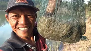 seperti ini hasil detik detik pasang bubu payung di serang jutaan udang liar #DB-400