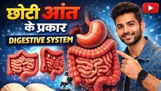 #ChhotiAant#छोटीआंत#DigestiveSystemBiologyBiologyHindiScienceInHindi#UPBoardexampreparation#Class10
