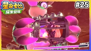 【喵哈】我還是覺得這隻王很可愛【Switch 星之卡比 探索發現】#25
