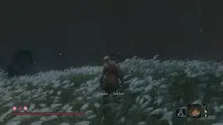 Ishiin, The Sword Saint (Phase 1, No Damage, NG7+)