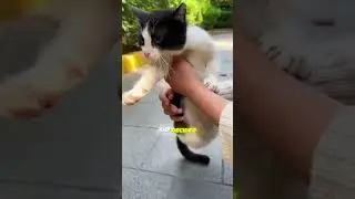 A New Beginning for a Special Soul | Stray Rescue