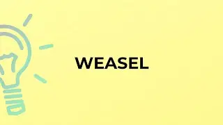 What is the meaning of the word WEASEL?