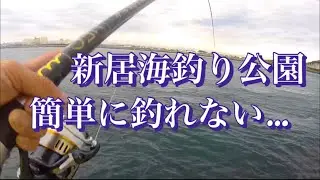 【浜名湖】海釣り公園 釣り 浜名湖 餌取り名人 簡単に釣れない魚 面白い
