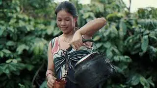 First Filipino Specialty Coffee - Bean to Mug Organic Whole Bean Fair Trade Coffee