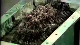 Muffin Monster Grinder Demonstration