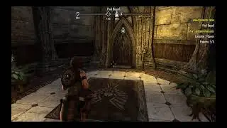 SKYRIM : Online bro