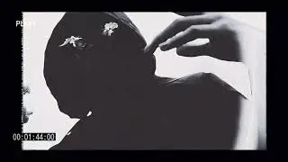 Hater - Weed Killah
