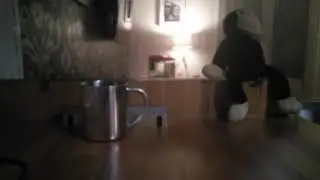 Scary moving monkey!