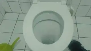 French Squat Toilet Part 105 Norm Toilet And Squat Toilet On Flushometer