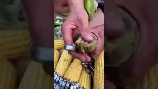 Rural Farmer #8992